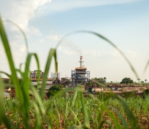 Vishwaraj Sugar Industries to Establish ₹250 Crore Sugar Factory in Belagavi