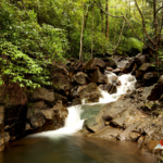 Gunji Village & Kirawale Waterfalls