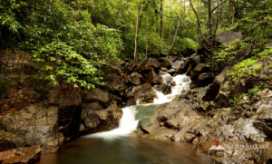 Gunji Village & Kirawale Waterfalls