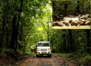 Bhimgad Wildlife Sanctuary