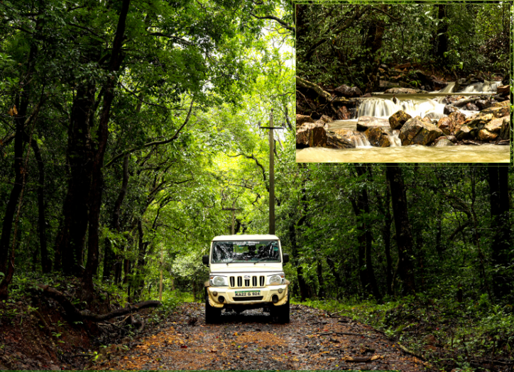 Bhimgad Wildlife Sanctuary