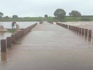 Life Disrupted: Belagavi Villages Isolated by Rising Krishna River