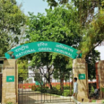 NGT Warns Belagavi DC: ₹50,000 Fine Threatened Over Delay in Sugar Factory Pollution Report