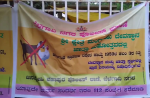 Thousands of Chicks Rescued in Belagavi Temple!