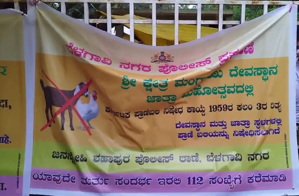 Thousands of Chicks Rescued in Belagavi Temple!
