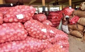 ChatGPT said: Onion Prices Crash in Belagavi as Supply Floods Market