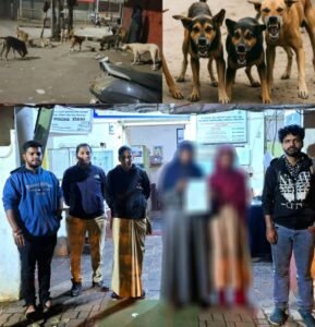 Complaint Filed for Feeding Raw Meat to Stray Dogs