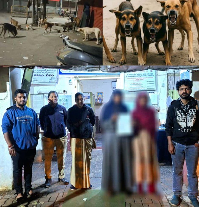 Complaint Filed for Feeding Raw Meat to Stray Dogs