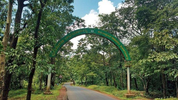 Activist Flags Irregularities in Bhimgad Relocation