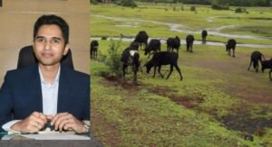 No Mercy for Illegal Tree Cutting: DC Mohammad Roshan