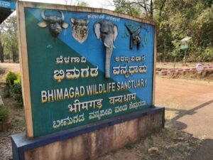 Karnataka Regulates Development Near Bhimgad Sanctuary