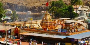 Yellamma Temple Zone to Go Stray-Animal Free