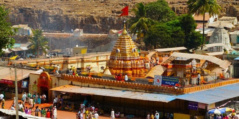 Yellamma Temple Zone to Go Stray-Animal Free