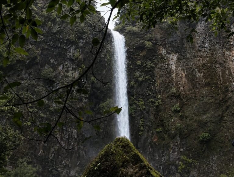 Forest Dept Bans Entry to Khanapur Waterfalls